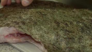 Seasoned fish close-up, cooking process, flounder cooking, fish roasting video