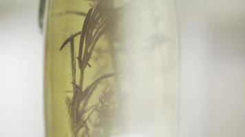 hierbas especias en botella de aceite de oliva. aceite de oliva virgen extra. de cerca video