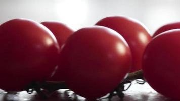 Tomatoes with water drops. A bunch of wet tomatoes sprinkled with water. Footage of fresh tomatoes.