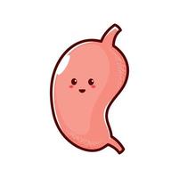 Digestive system organ stomach cartoon character vector