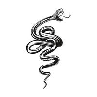 Snake tattoo, angry black viper vector