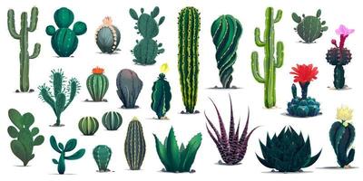 Mexican and desert cartoon cactuses succulents vector