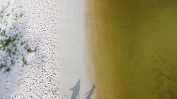 vue aérienne depuis un drone d'une famille asiatique heureuse de mère et de filles s'amusant à jouer sur la plage pendant les vacances d'été. voyage d'été en famille à la plage. concept de voyage et de vacances. video