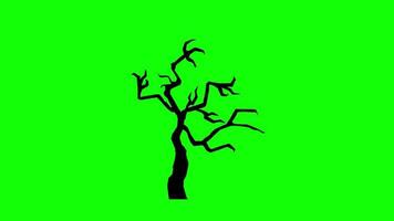 tree animation loop motion graphics video transparent background with alpha channel