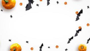 pumpkin and bat loop motion graphics video on white background