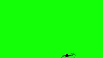 araignée et toile d'araignée boucle motion graphics vidéo fond transparent avec canal alpha video