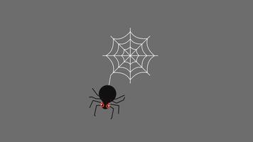 fundo transparente de vídeo de gráficos de movimento de aranha e teia de aranha com canal alfa video