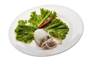 Boiled cuttlefish on the plate and white background photo