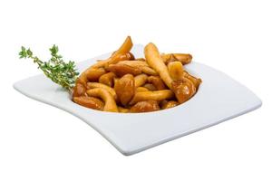 Armillaria in a bowl on white background photo