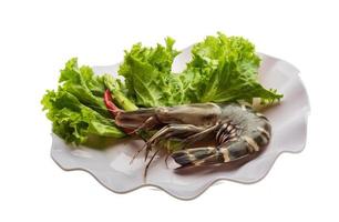 Tiger prawn Tiger prawn on the plate and white background photo