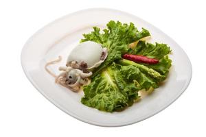 Boiled cuttlefish on the plate and white background photo