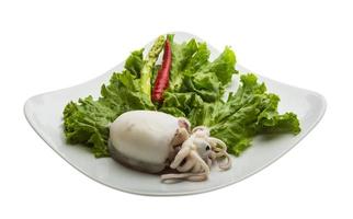 Boiled cuttlefish on the plate and white background photo