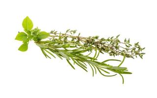 Fresh aroma herbs on white background photo