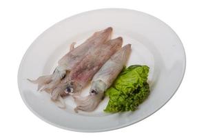 calamares crudos en el plato y fondo blanco foto