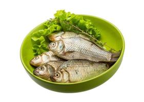 Crucian fish in a bowl on white background photo