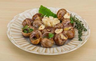 Escargot snails on a plate photo