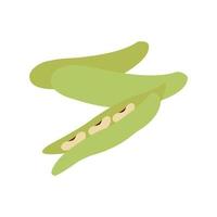 green vegetable broad bean vector illustration