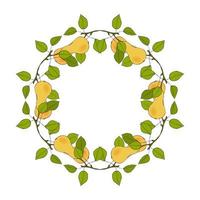 Wreath of twigs with pear, hand drawn, round frame with branches, leaves and fruits. Isolated, white background. vector