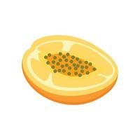a half-melon Isolated on white background, half melon isometric vector for web design