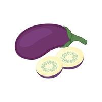 On a white background, a delicious eggplant vegetable is isolated. vector