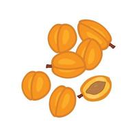 Round apricots and plants of various sizes are depicted. Illustration in flat design vector