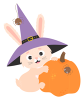Aufkleber Halloween-Hase mit Kürbis png
