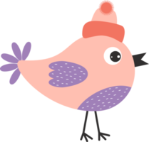 Winter cute bird in  knitted hat png
