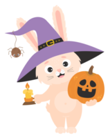 sticker Halloween. Rabbit character in witch hatand  pumpkin Jack png