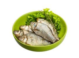 Crucian fish in a bowl on white background photo