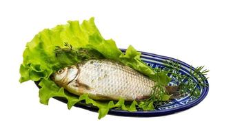 Crucian fish on the plate and white background photo