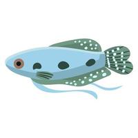gourami peces acuario agua animal naturaleza y vector arte acuático submarino. peces de ilustración tropical con cola y aleta. hermoso dibujo decorativo de mascotas multicolores e ictiología arrecife de coral