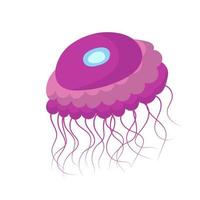 Jellyfish cartoon isolated medusa and biology jelly fish. Marine and water life animal vector illustration. Colorful exotic undersea wildlife with tentacle and sea nature icon