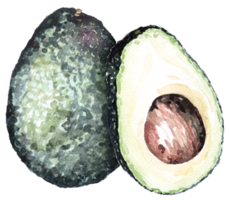 aguacate vegetal acuarela.frutas vegetarianas.medio aguacate. rebanadas de aguacate verde. png