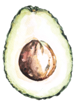 acquerello verdura avocado.vegetariano frutta.mezza avocado. fette di verde avocado. png