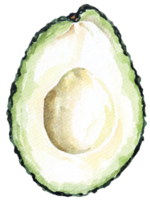 aguacate vegetal acuarela.frutas vegetarianas.medio aguacate.rebanadas de aguacate verde. png