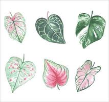 Watercolor vector  set of tropical leaves isolated from the background