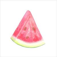 A slice of watermelon. Watercolor illustration, hand-drawn, isolated. vector