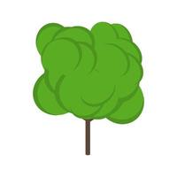 arbol planta hoja naturaleza vector ilustracion bosque verano green. entorno de diseño árbol planta icono simple aislado jardín blanco ilustración. paisaje resumen elemento floral dibujos animados icono parque