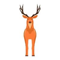Deer front view vector symbol. Head mammal flat reindeer concept