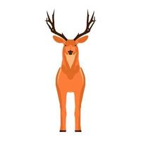 Deer front view vector symbol. Head mammal flat reindeer concept