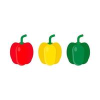 Pepper vegetarian ingredient set red, green, Yellow vector icon top view. Nature food illustration restaurant