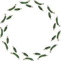 Round frame with horizontal beautiful cucumber. Isolated wreath on white background for your design vector