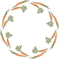 Round frame with horizontal beautiful carrots. Isolated wreath on white background for your design vector