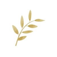 aquarelle feuille d'or png