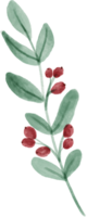 Christmas leaves foliage for decorate. png