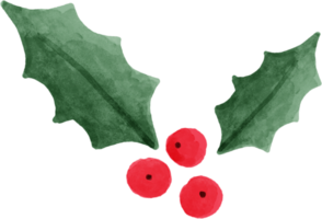 Christmas leaves foliage for decorate. png