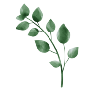 Green leaf watercolor
