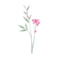 aquarela de folha floral rosa png