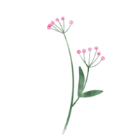 acuarela de hoja floral rosa png