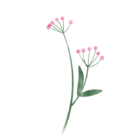 rosa blumenblattaquarell png